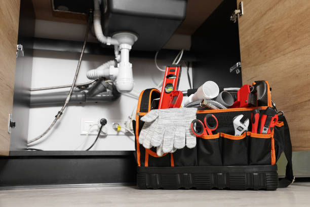 Best Affordable Plumbing Services  in Tangelo Park, FL